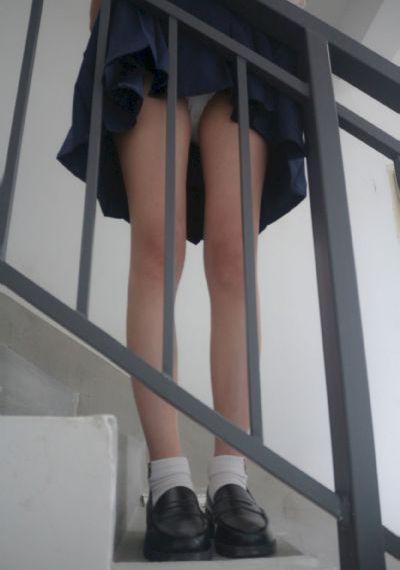 色虎在线_DVD免费全集观看