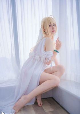 一本狼之道高清免费手机版_蓝光电视剧在线观看
