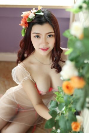 影视在线网_BD英语在线视频播放