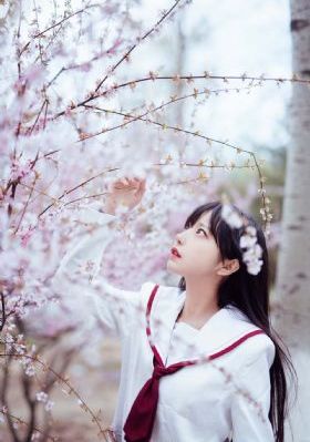 挑子影视剧大全免费观看_免费高清在线观看